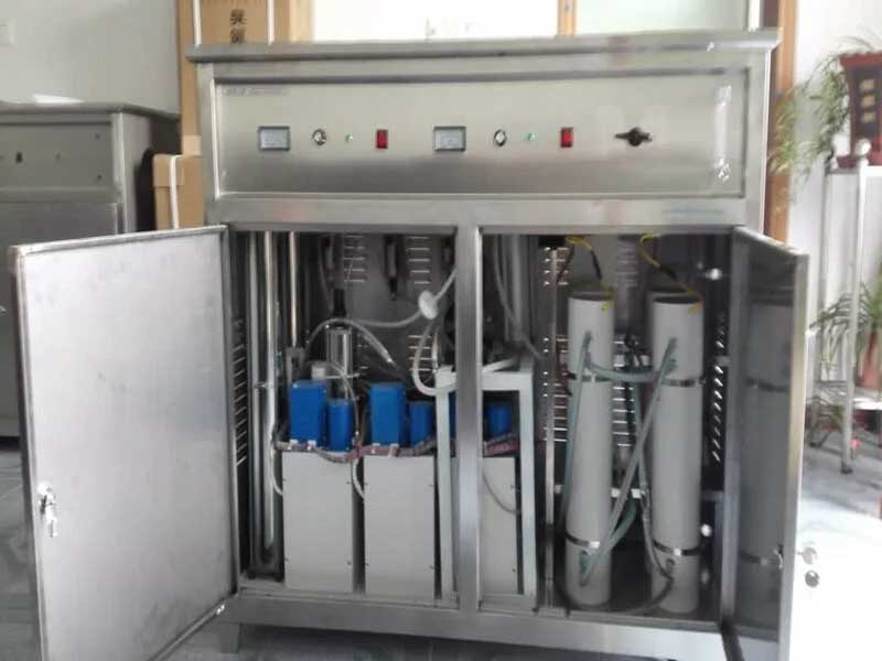 Ozone system