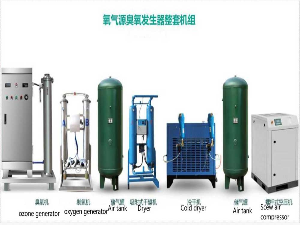 Ozone System